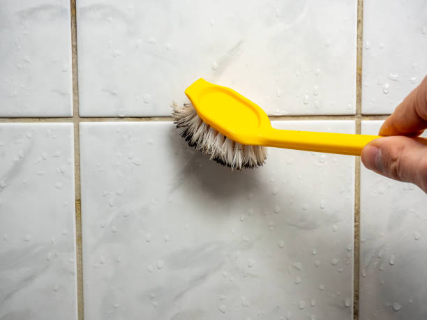 Professional Mold Removal in Mount Gay Shamrock, WV